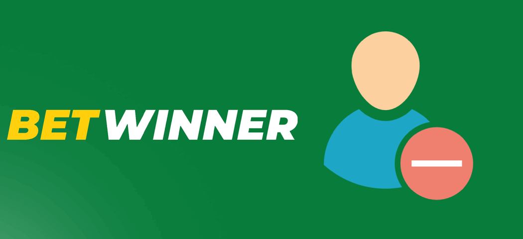 Comprehensive Betwinner Sportsbook Insights for Enthusiasts