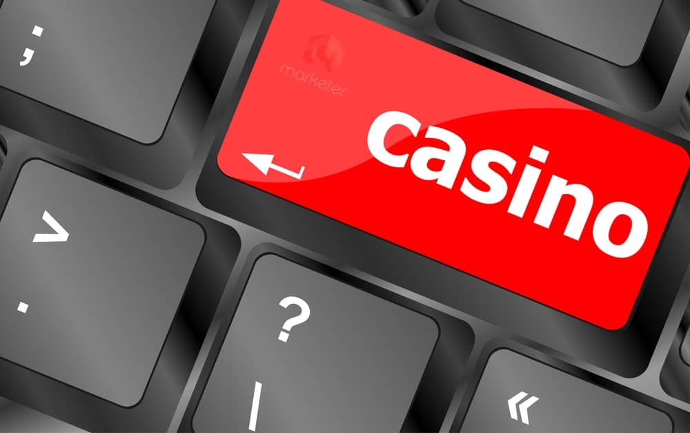 Comprehensive Guide to oz365 bet What to Expect from the Platform