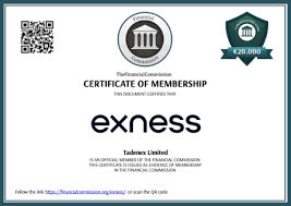 Exploring the Exness ECN Demo A Gateway to Professional Trading